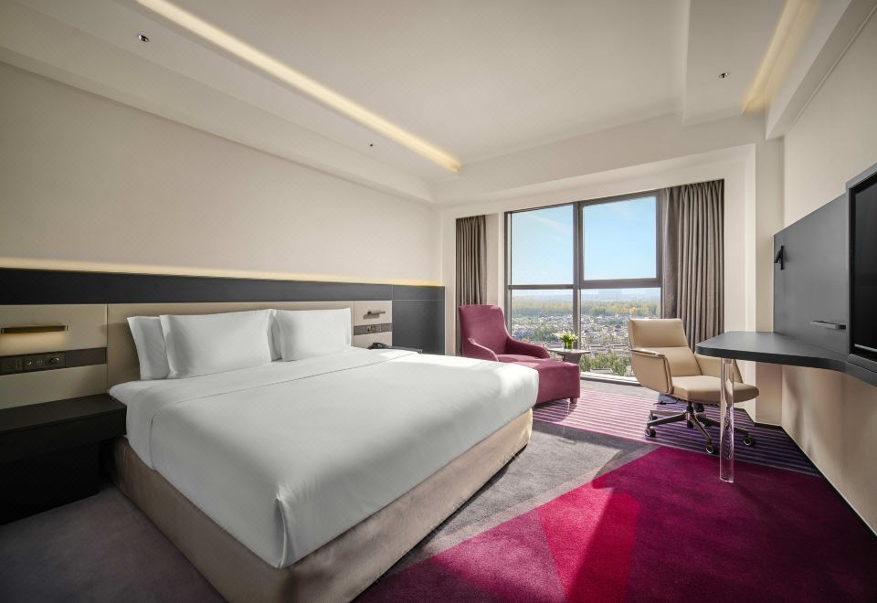 高级无障碍大床房