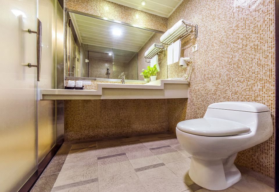 高级大床房「洗浴乾湿分离-灭菌毛巾-采光明亮盈透」