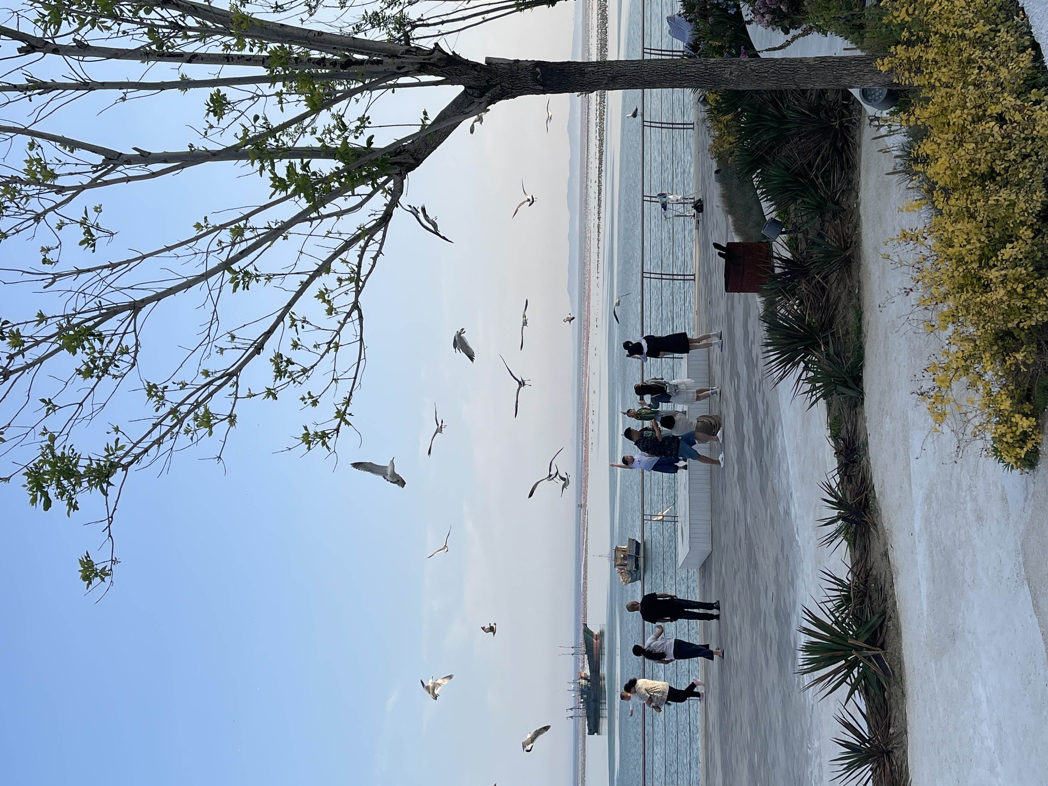 园景双床房（静谧舒睡+零压床垫+除湿机）