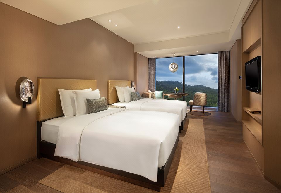 高級山景雙床房