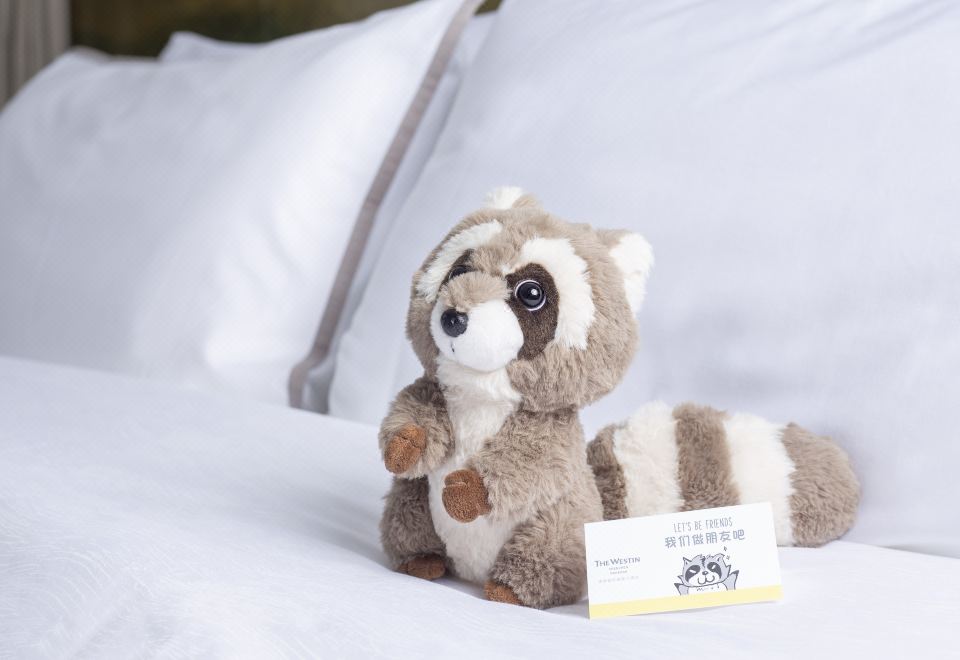 家庭房 （ 世界之窗景观）