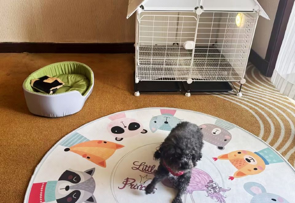 ChaoHu Country Garden Phoenix HotelGarden View Pet-Friendly Double Room