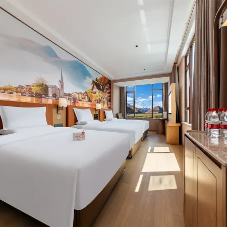 Vienna Hotel (Dingri Basong Village Branch)
