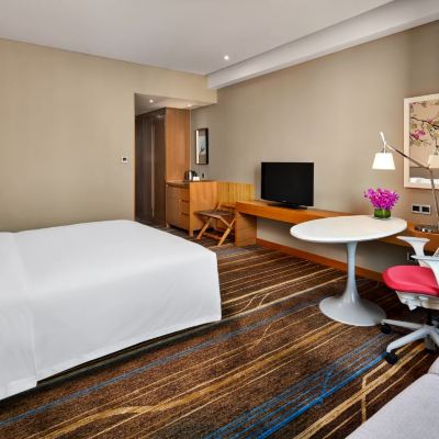 寵物大床房 深圳寶安華盛希爾頓花園飯店優惠