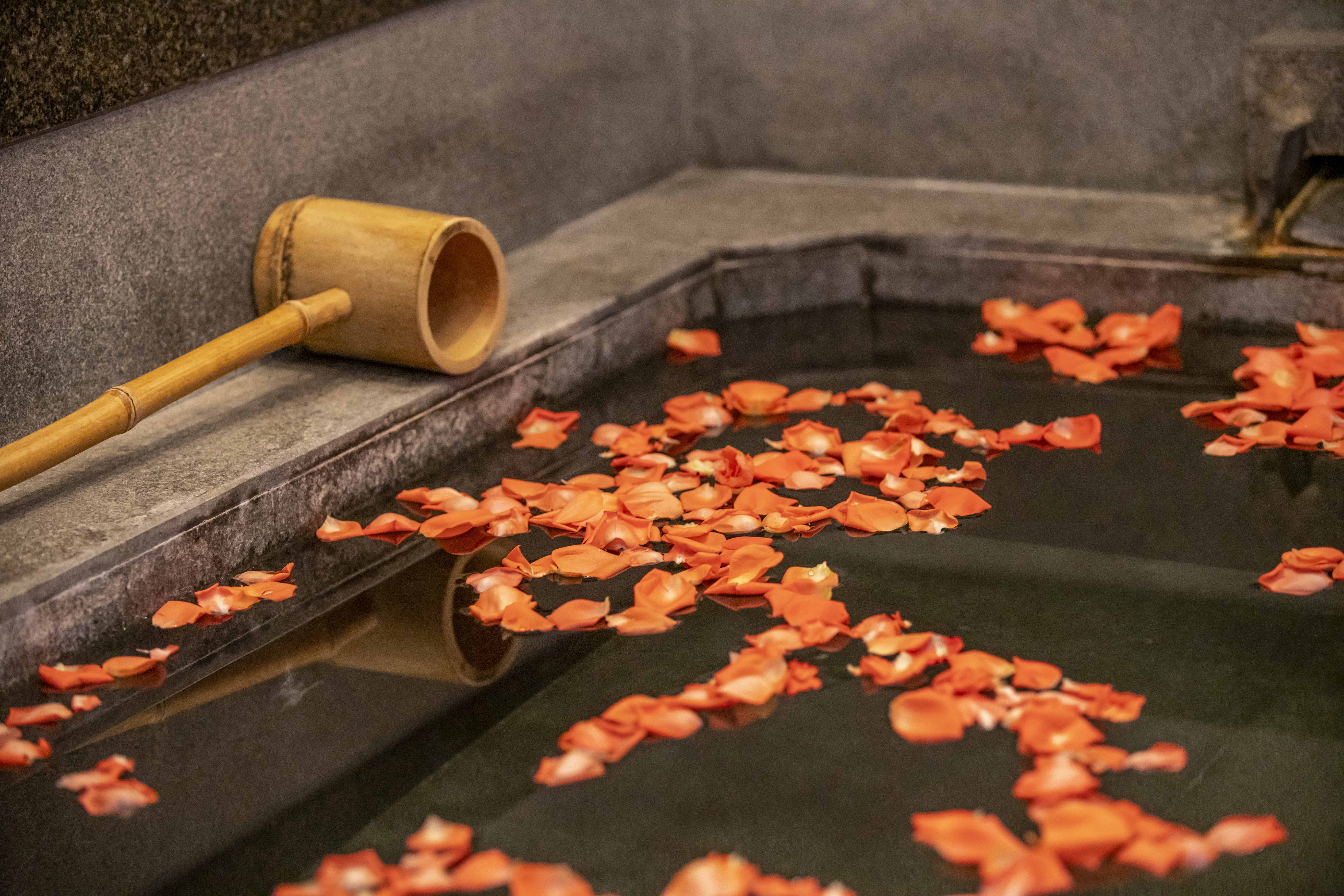 嘉士温泉大床房