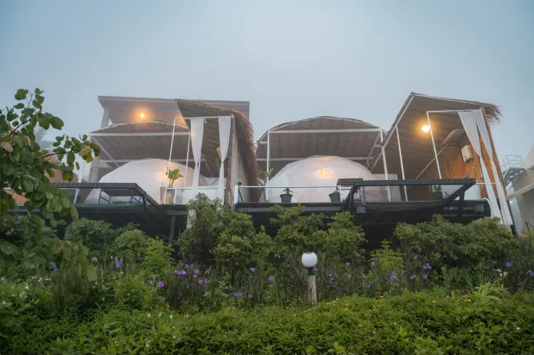 ตะวันโดม