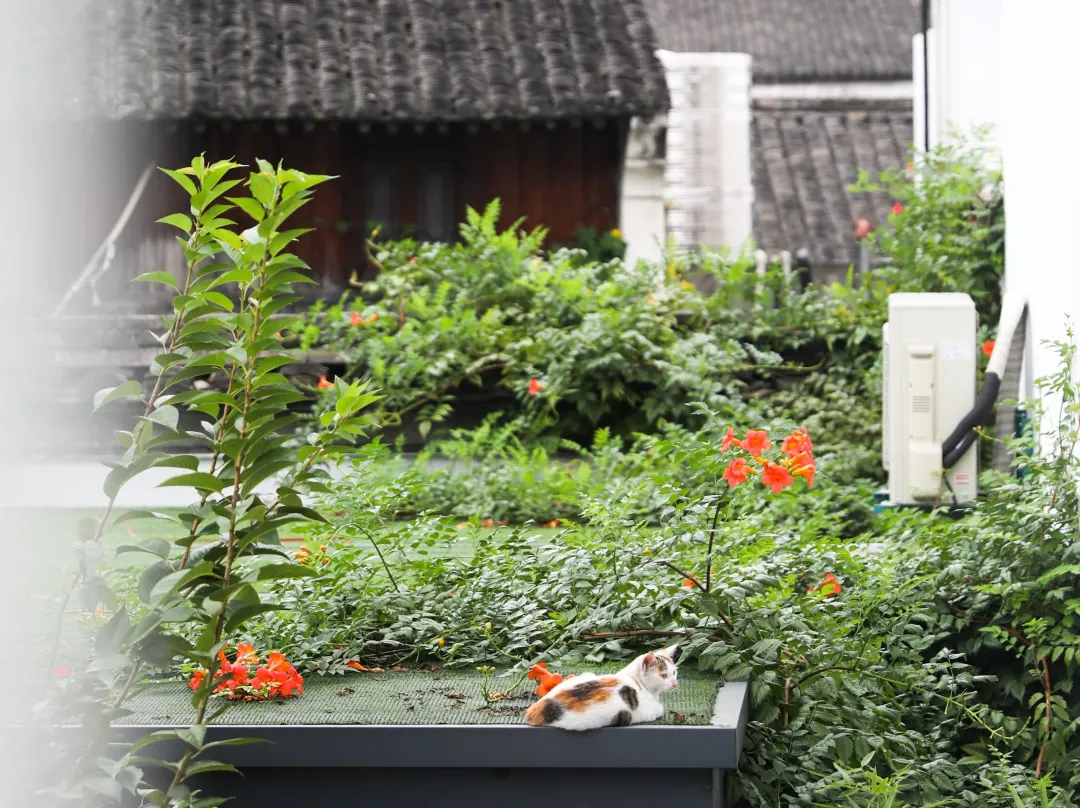 Joying - Beautiful Stay In The Hometown Of The Book Saint - 紹興市