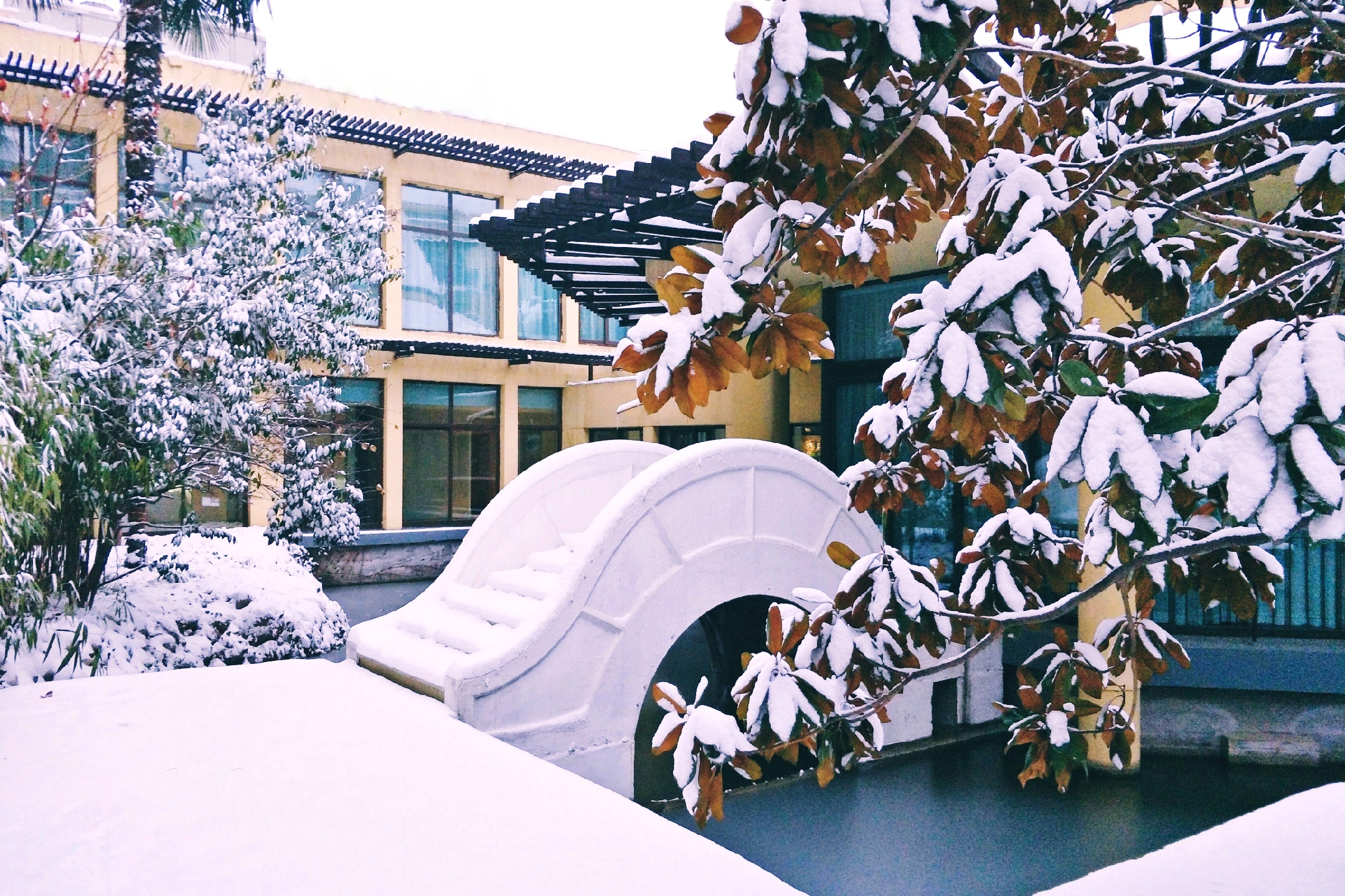 商务湖景双床房