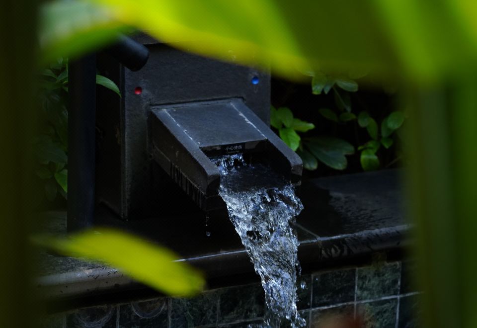 錾影泡池双床房