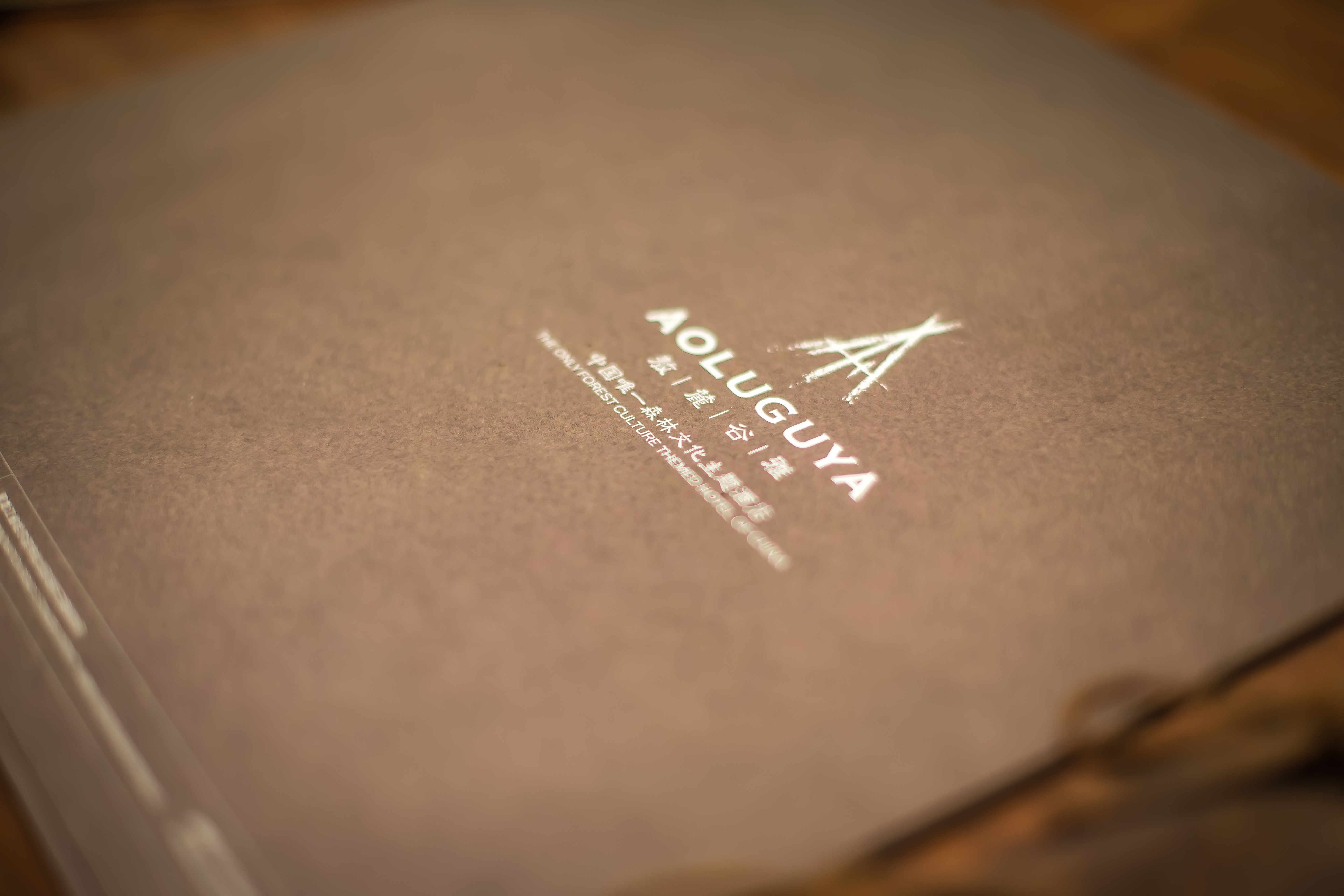 撮羅子·幽夢（無窗）