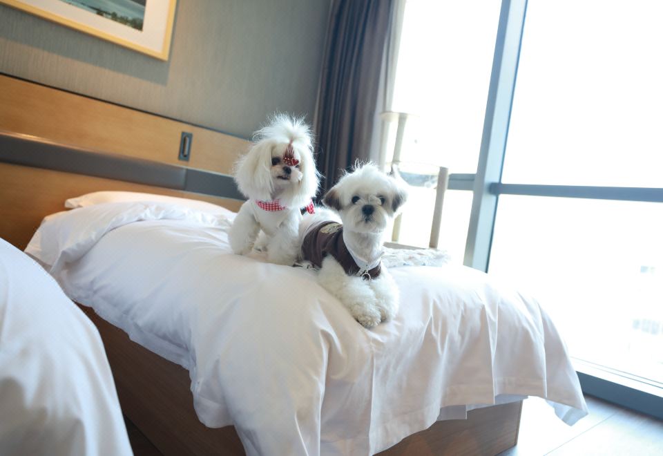 寵物友好 | 豪華雙床房