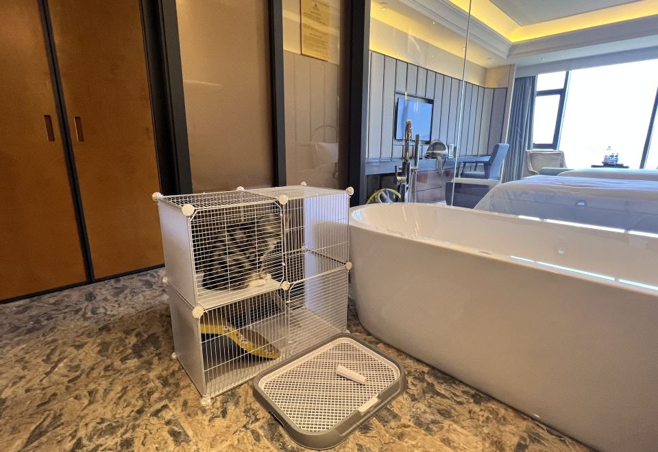 喵喵寵物友好房【喵喵蝸居+貓砂+寵物玩具】