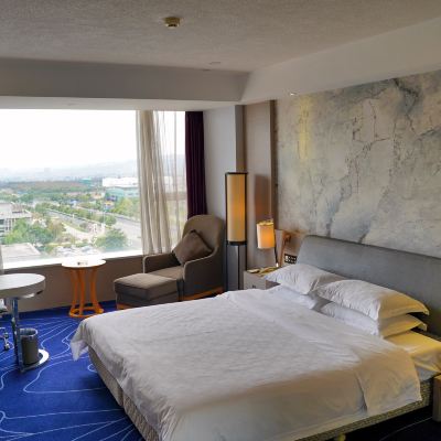 森林氧吧大床房 昆明百事特悅航機場飯店優惠