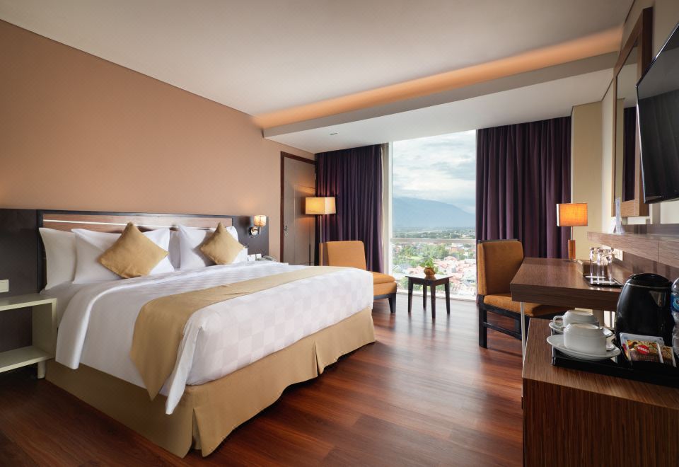 高级城景房，1张大床，无线网、淋浴、保险箱，禁烟