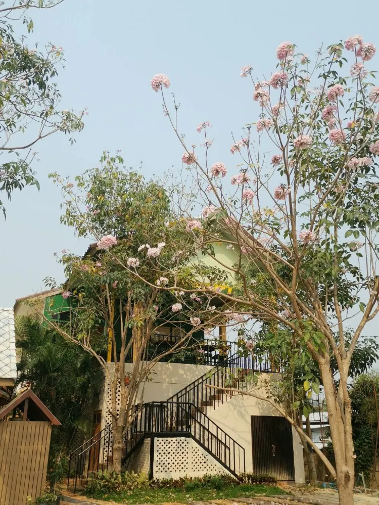 แฟมิลี่วิลล่า