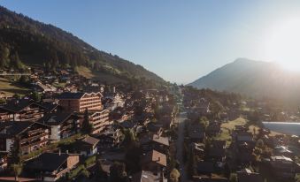 Revier Mountain Lodge Adelboden - Housity