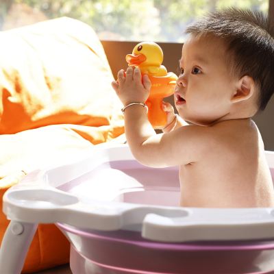 Bduck 1 King Standard