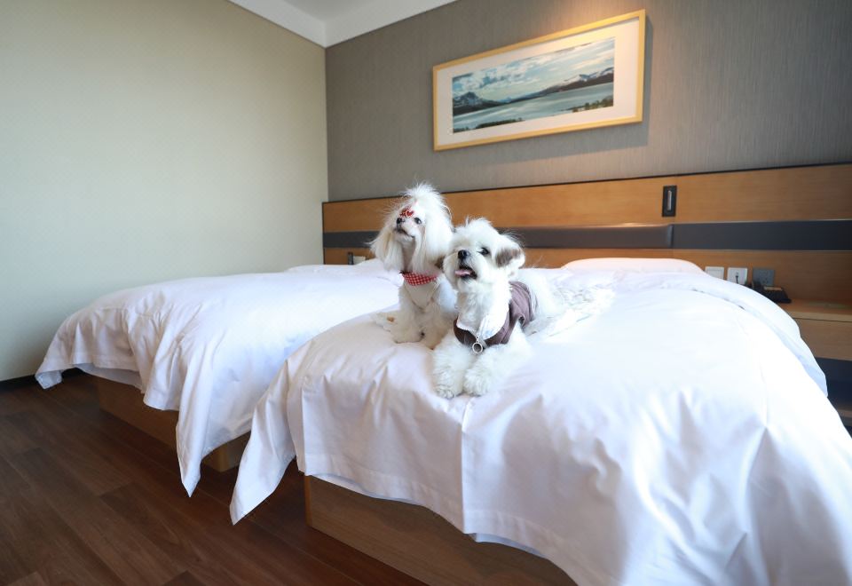 寵物友好 | 豪華雙床房