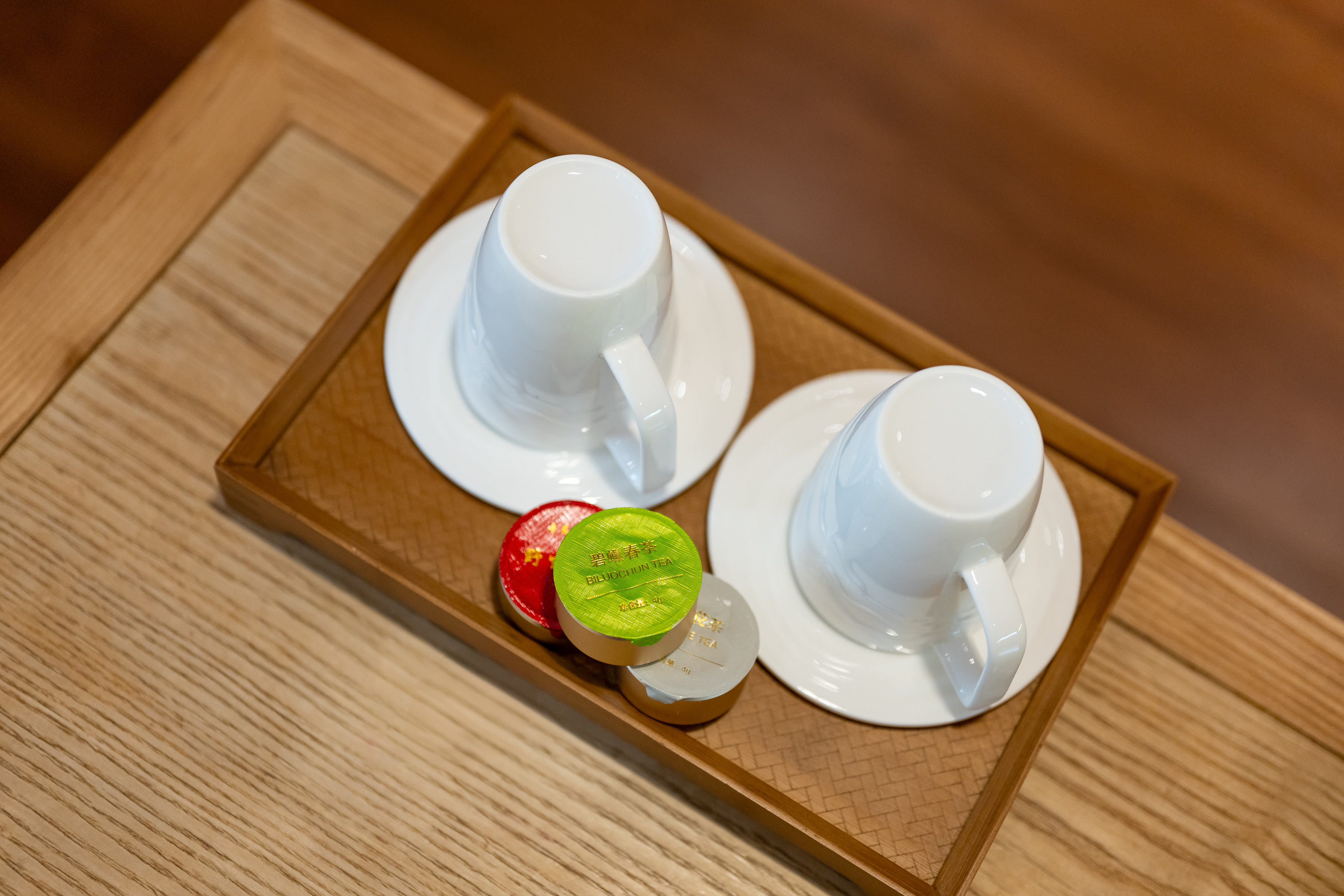 府邸·庭院別墅（四臥兩廳）