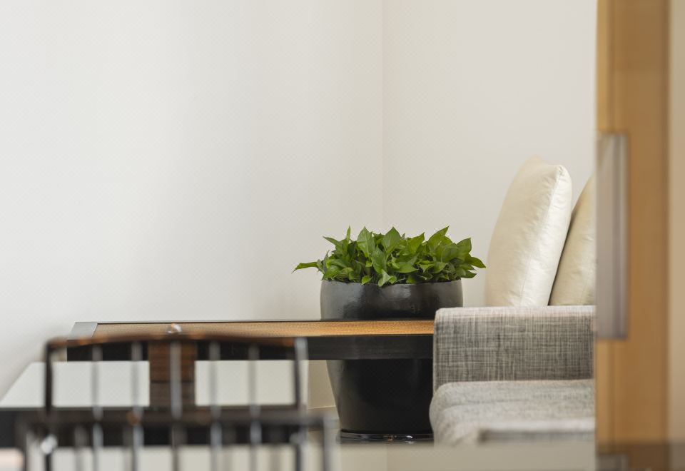 Park Hyatt ShanghaiPARK DELUXE SUITE