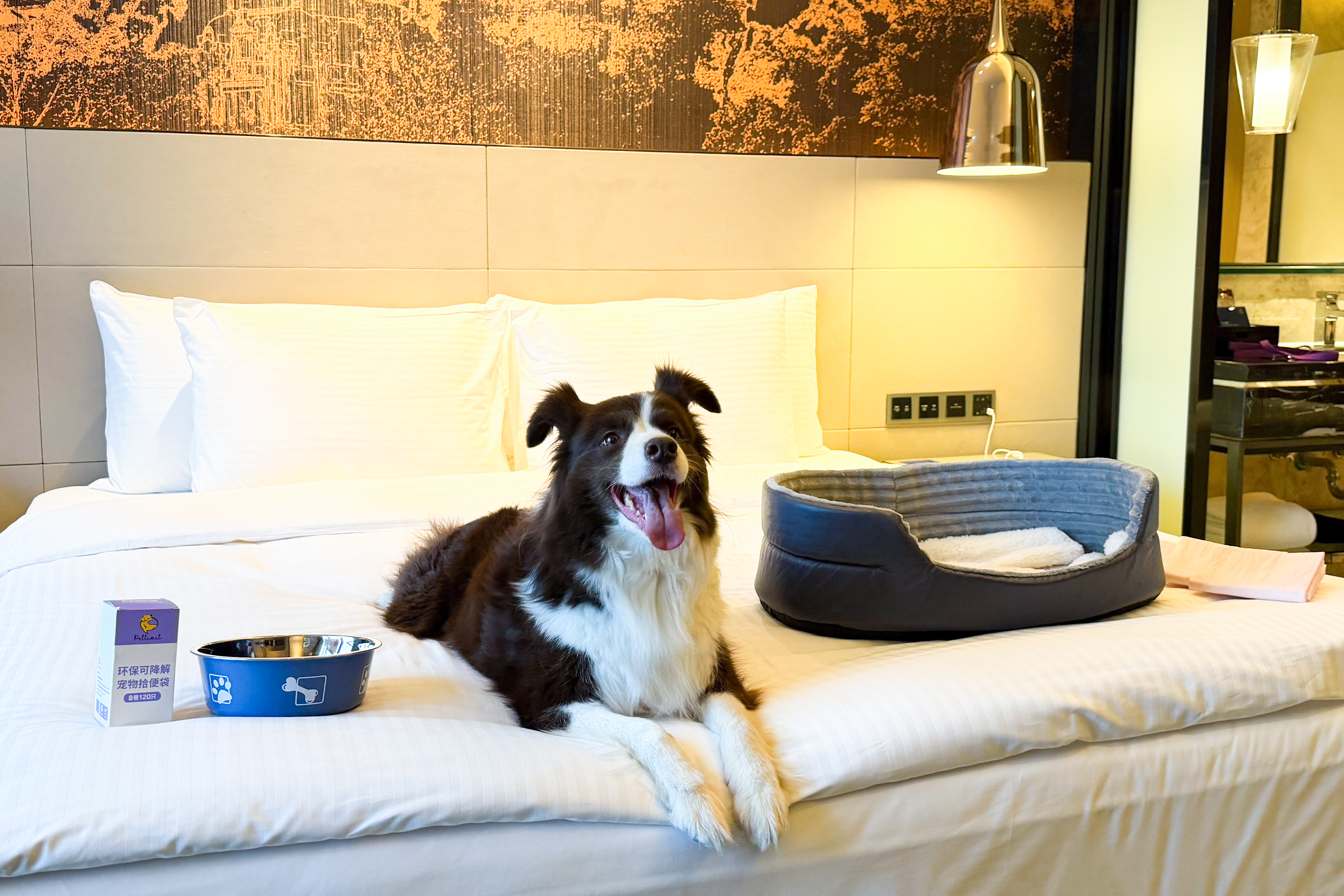 萌宠大床房（毛孩子睡窝+宠物用品）