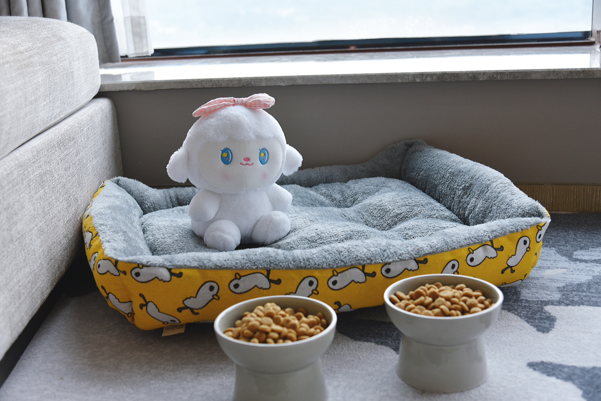 琥珀大床房-宠物房