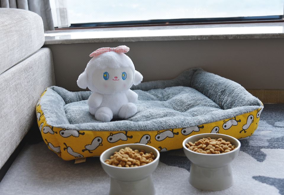 琥珀大床房-寵物房