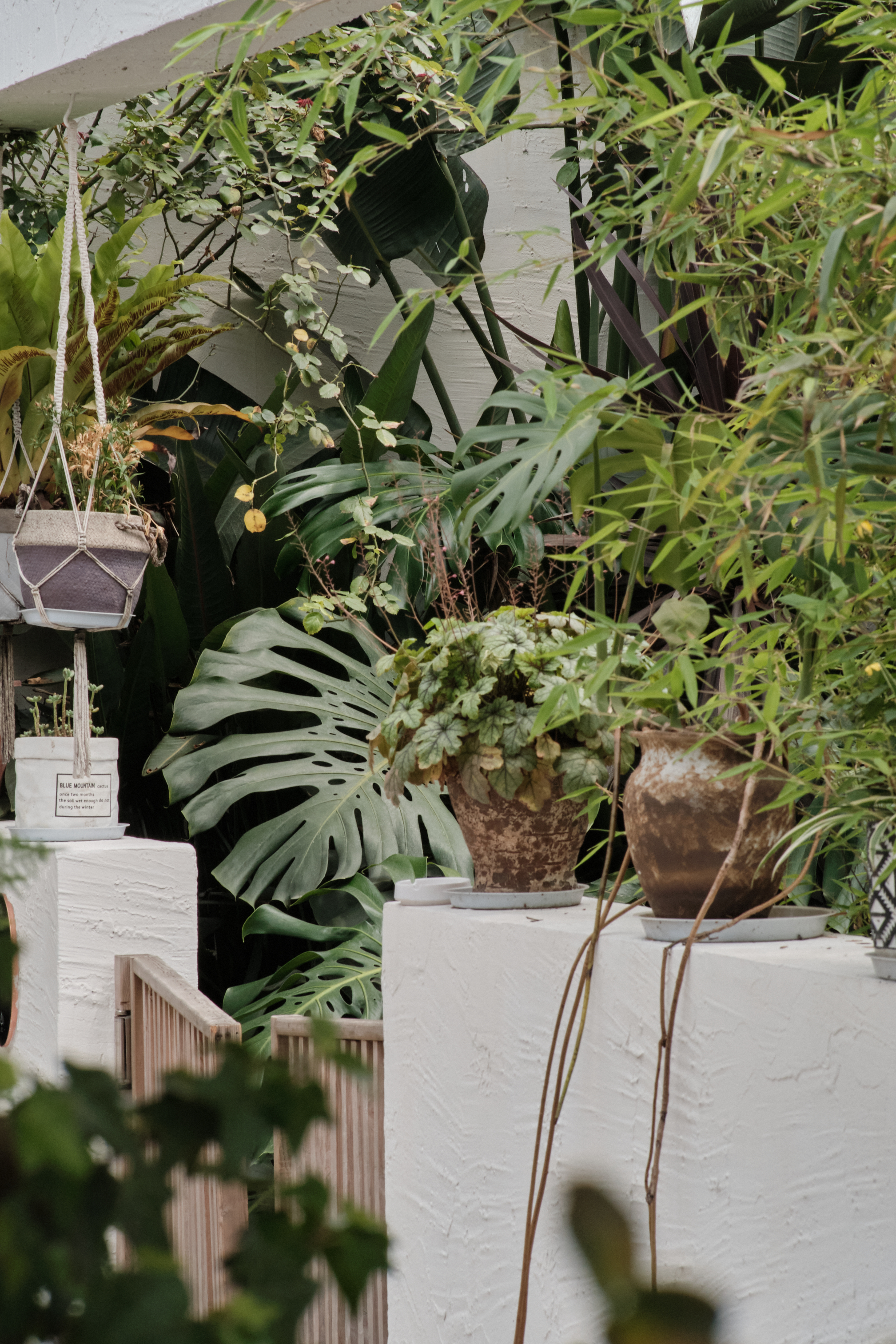 花园浴缸双床房