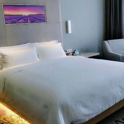 豪華大床房 麗楓飯店（東莞虎門萬達廣場店）優惠