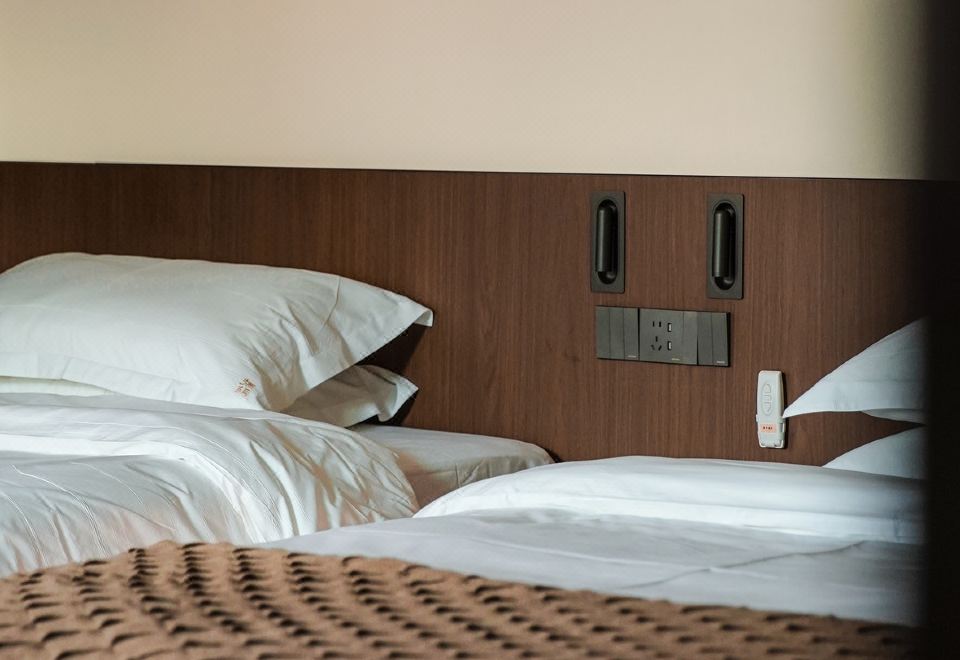 五塔巷·景觀投影雙床房