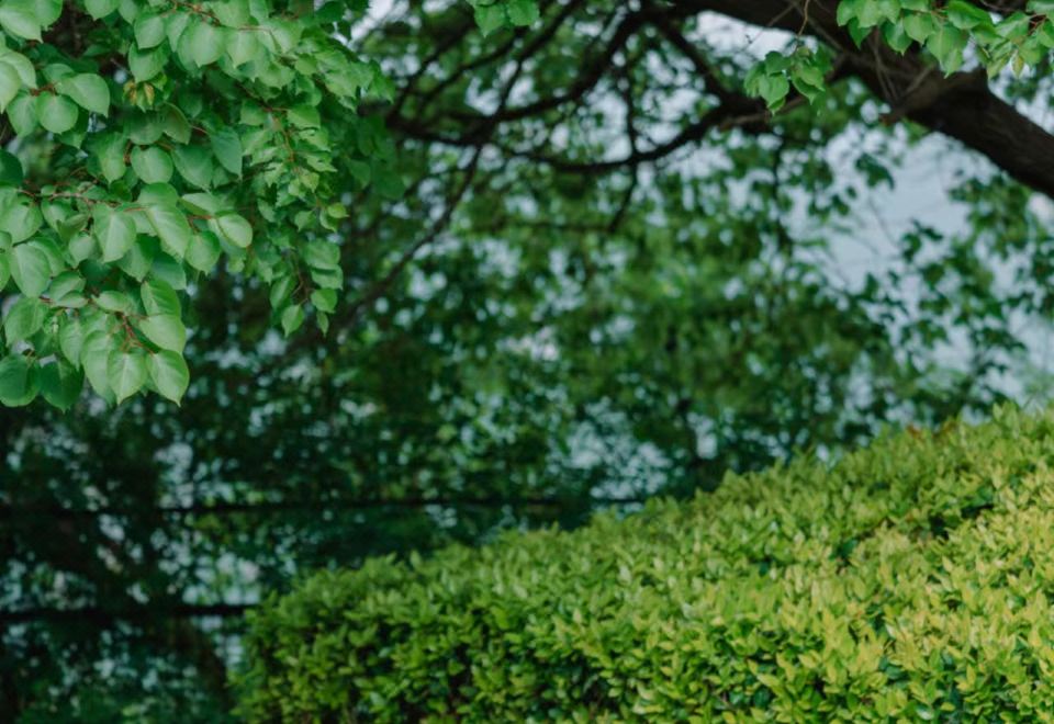 Naked ValleyFamily Cliffside Villa - 2+1 Bedroom