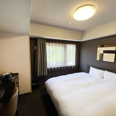 ダブルルーム(禁煙) ホテルルートイン東近江八日市駅前 クーポン