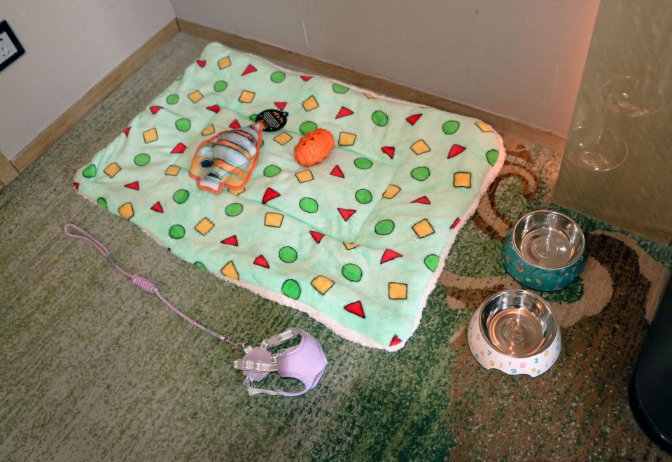 Wanda Vista HohhotPet-Friendly Twin Beds Room