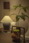 SUMMORI HOTEL