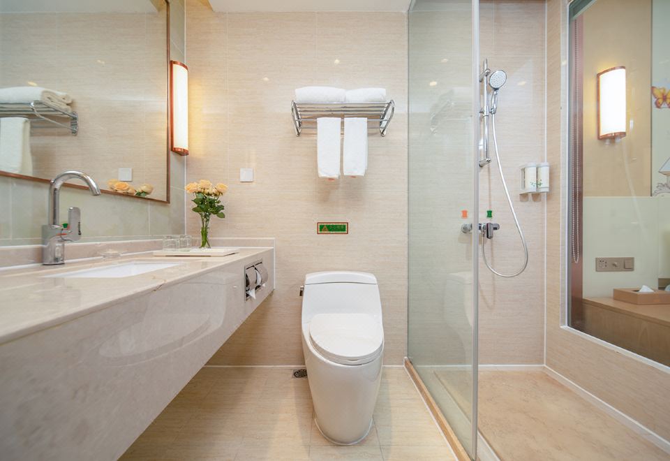 Vienna International Hotel (Chengdu Pidu Bailun Plaza)Business Room (2 beds)