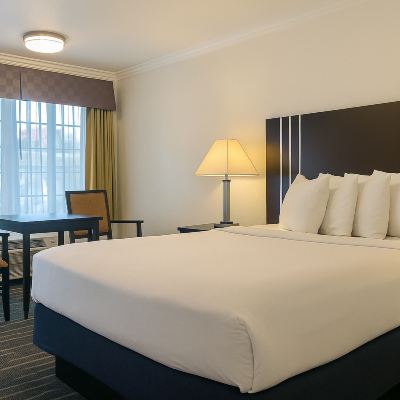 Petite Queen Fireside Inn Promo Code