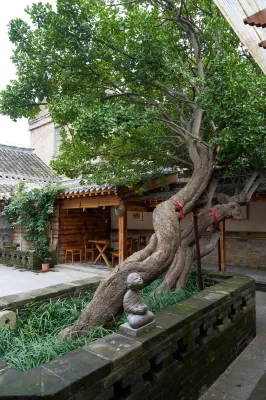 兩棵冬青海岸庭院民宿（煙台山景區店） 酒店