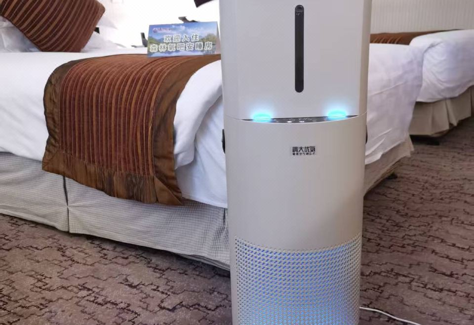 森林氧吧双床房