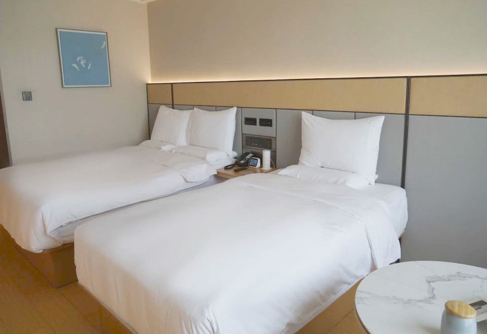 家庭房（65寸4K电视投屏+智能客控）