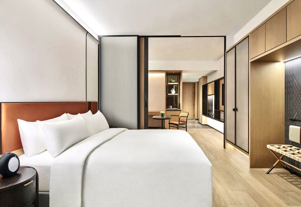 Artyzen Habitat SuzhouHabitat City View King