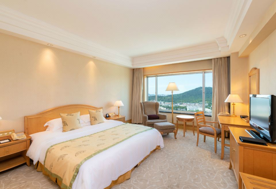 高级山景大床房+紫金山景