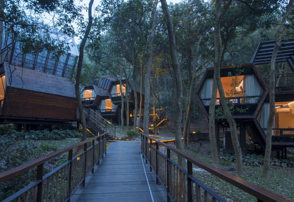 Hangzhou SENBO Nature Park and ResortJungle Hive Audio-visual Double Bedroom