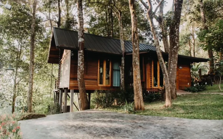 คาตูร่า