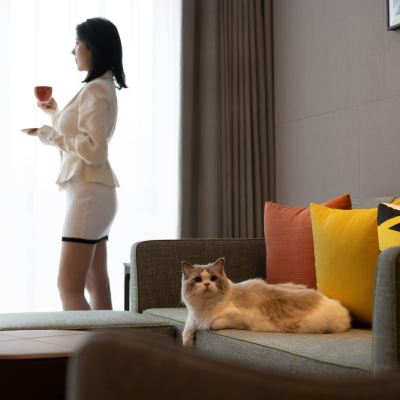 靈動大床房（膠囊coffee機+智能馬桶+蒸汽掛燙機） 貴陽觀山湖希爾頓惠庭飯店優惠