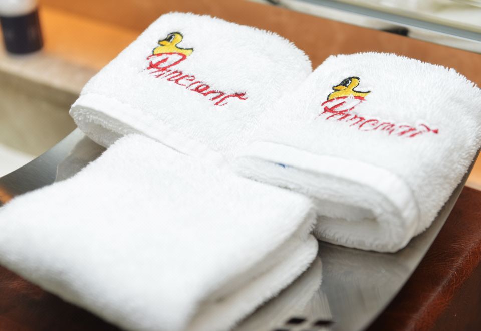 盼酷小黃鴨親子主題套房