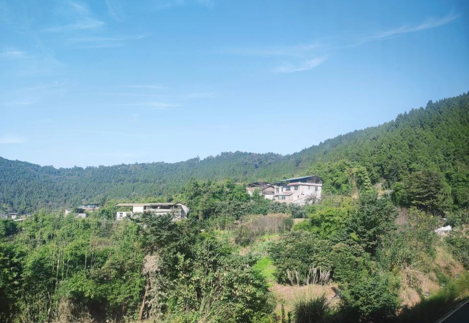 Mountain-view Double Room