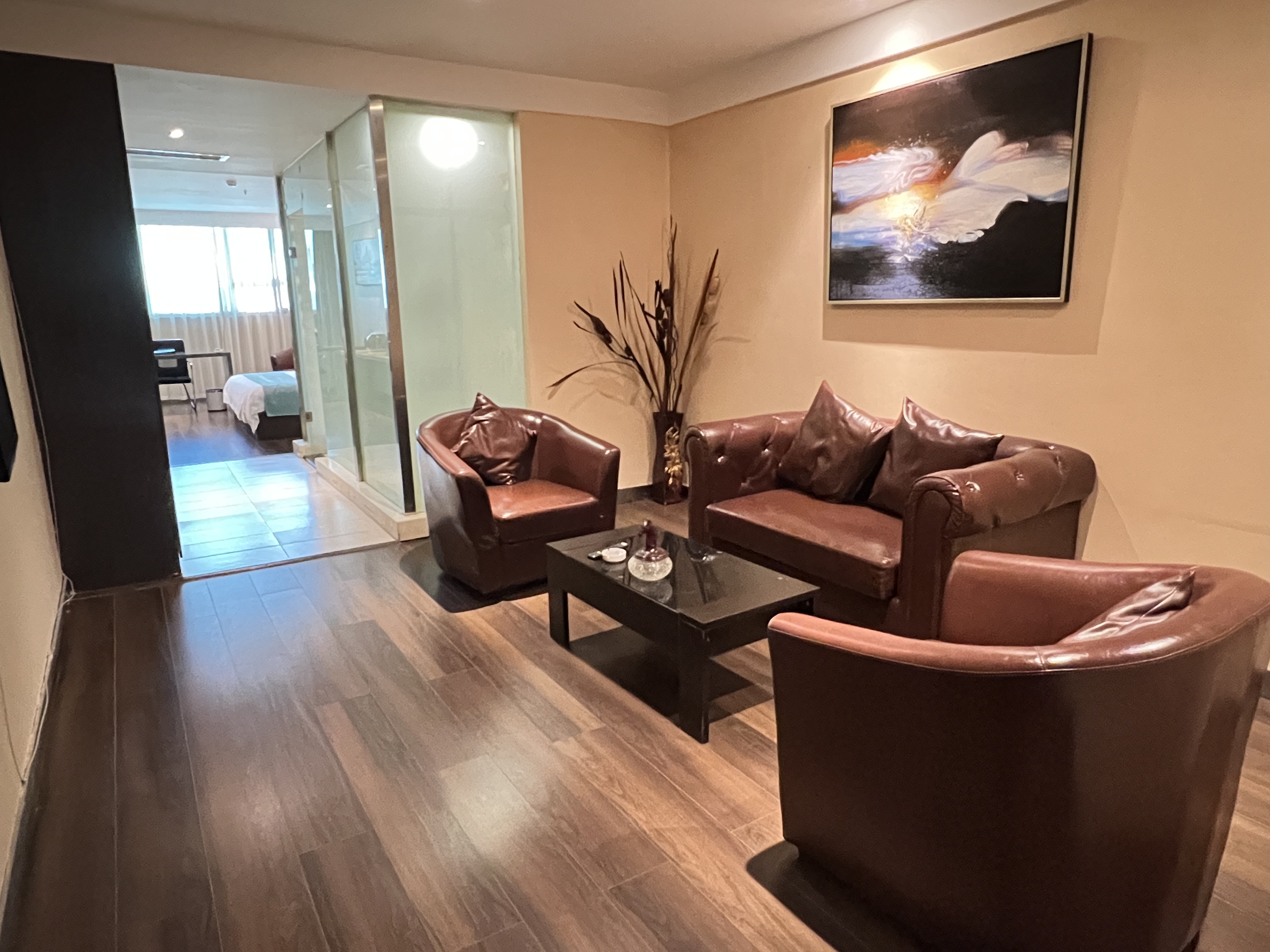 尊享雅居大床房