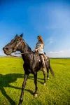Huishanli · Natural Luxury · Grassland Design Guesthouse (Datanzhen)