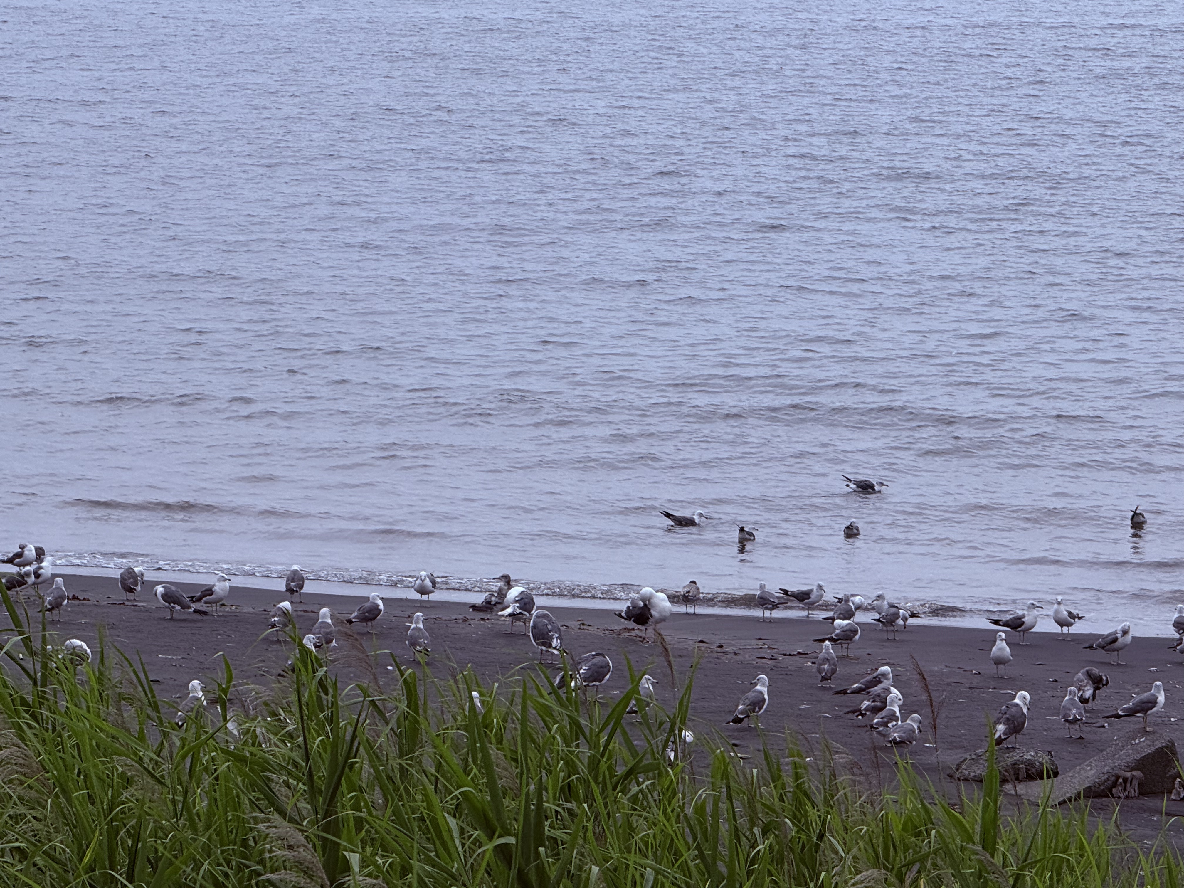 副楼海景高级家庭房