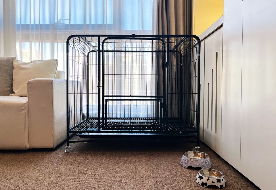 宠物友好大床房『宠物专属用品+深泡浴缸』